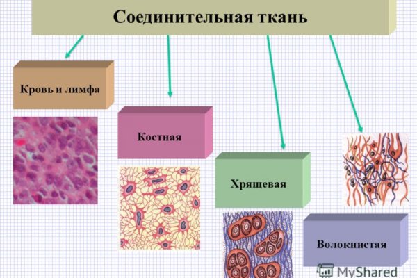 Кракен сайт как выглядит