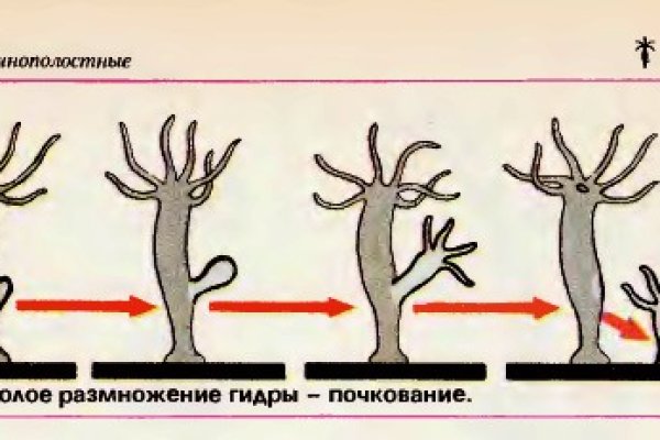 Kraken ссылка зеркало официальный