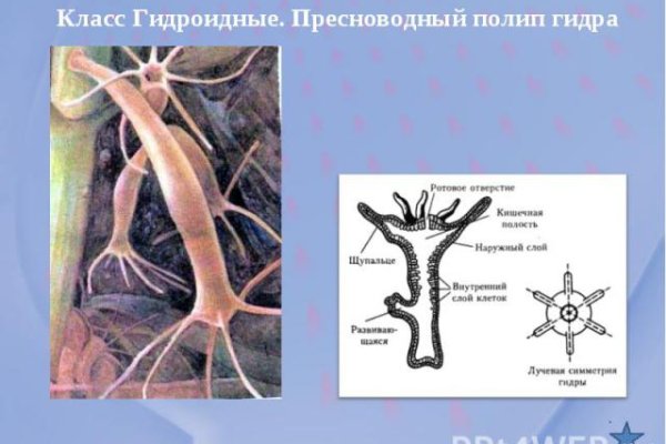 Кракен маркетплейс зайти