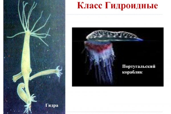 Где кракен